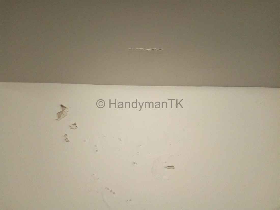 Leak in living room requires Handyman TK to fix source on flat roof above.