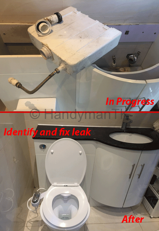 Investigate and fix leak in bathroom.